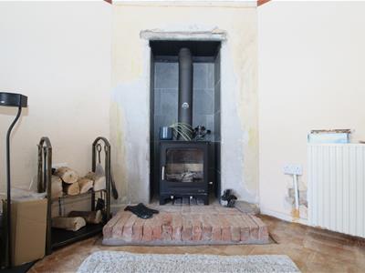Picture 7